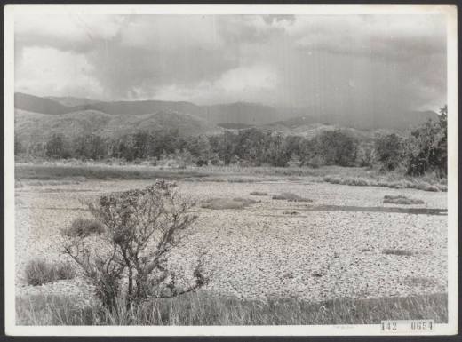 Black-and-white photo of a wide highland valley with grass, scattered shrubs, and forested hills under a cloudy sky.